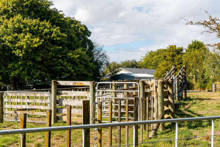 175 Papawai Road Greytown_21