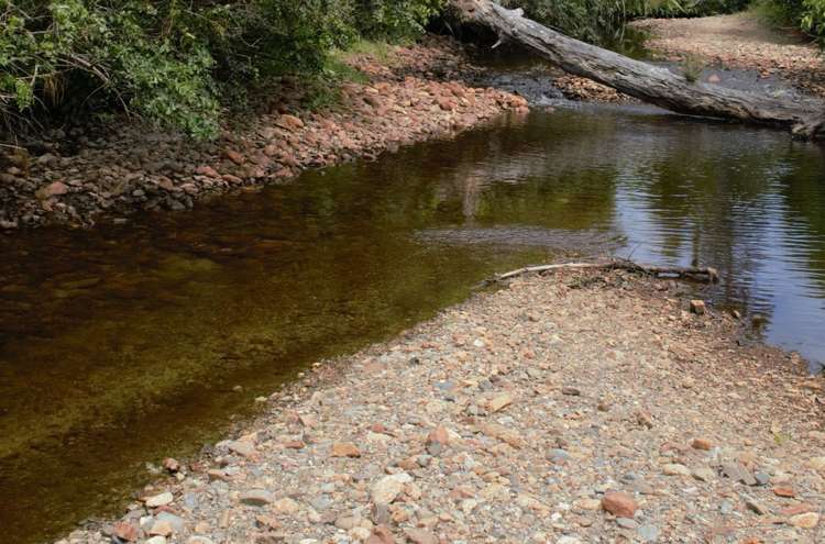 1883 Kumara-Inchbonnie Road Inchbonnie_16