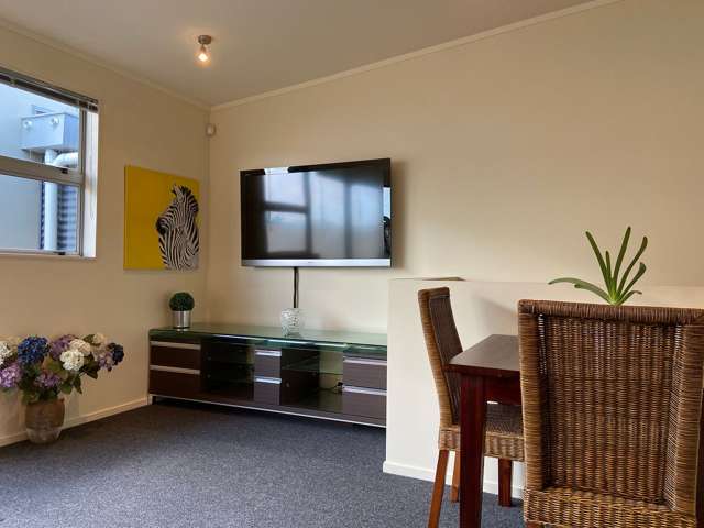 8/16 Centennial Highway Ngauranga_2