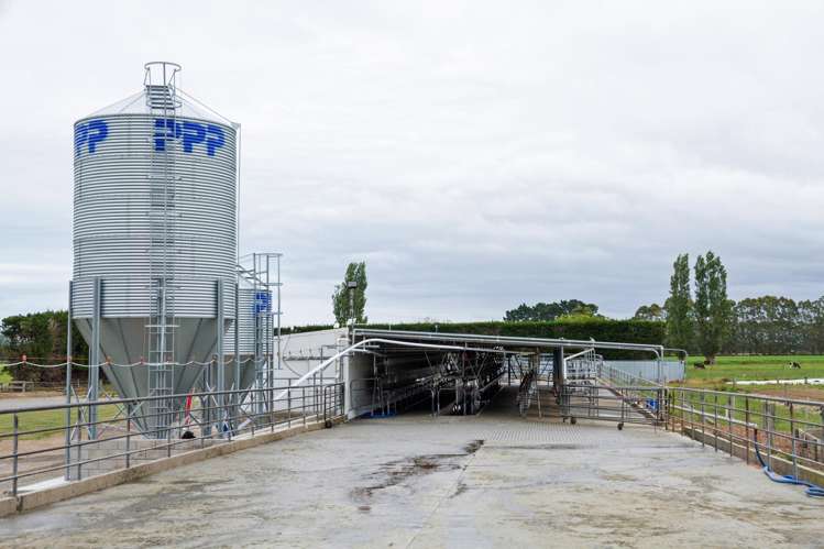 94 Brogdens Road Lowcliffe_18