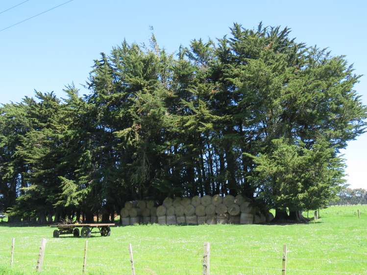 224 Winter Road Wyndham Surrounds_8