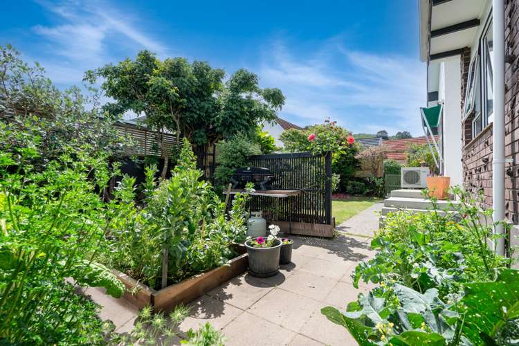 42 Weka Street Miramar_19