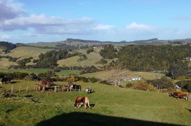 323 Cames Road Mangawhai_12