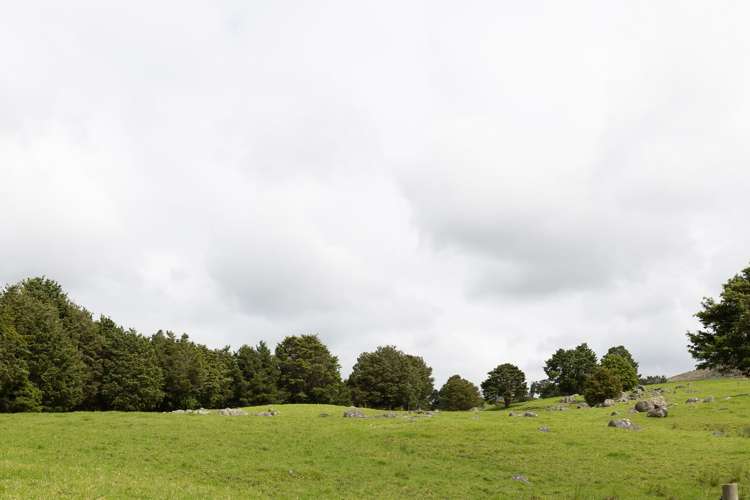 1557 Waihue Road Dargaville Surrounds_19