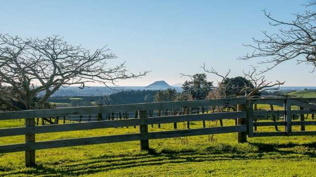 145 Warner Road Oropi_1