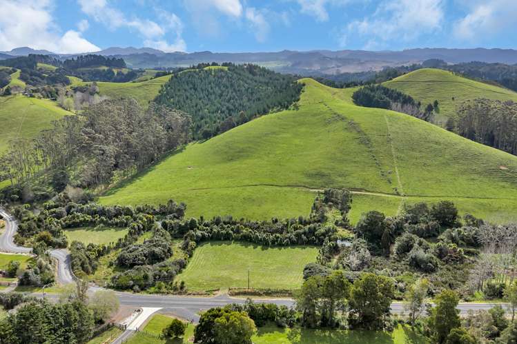 391 Pataua North Road_4
