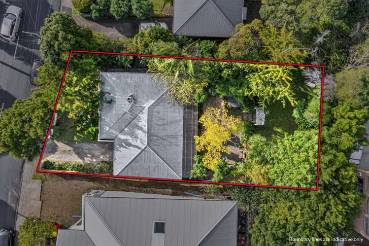 64 Selwyn Crescent Forrest Hill_15