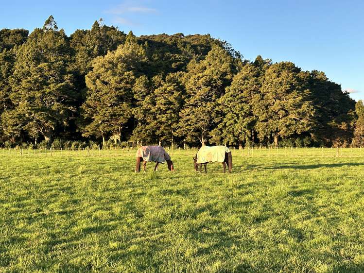 966 Kahikatea Flat Road Waitoki_18