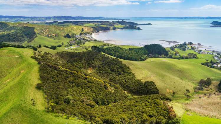 33 Kawakawa-Orere Road Kawakawa Bay_12