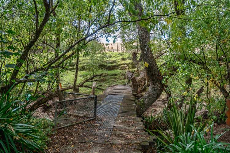 248 Jacksons Line Mauriceville_11