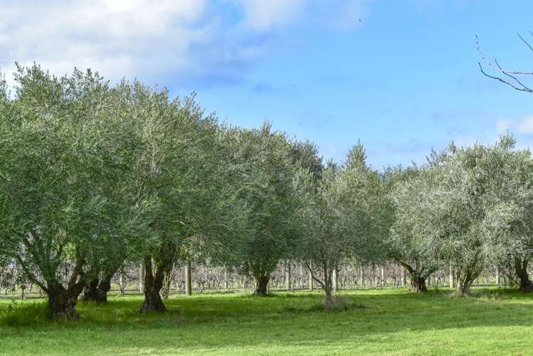 413a Lake Ferry Road Dyerville_3