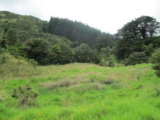 483 Waiotemarama Gorge Road Waimamaku_1