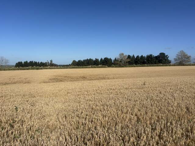 Lot 2 Adair Road Fairview_1