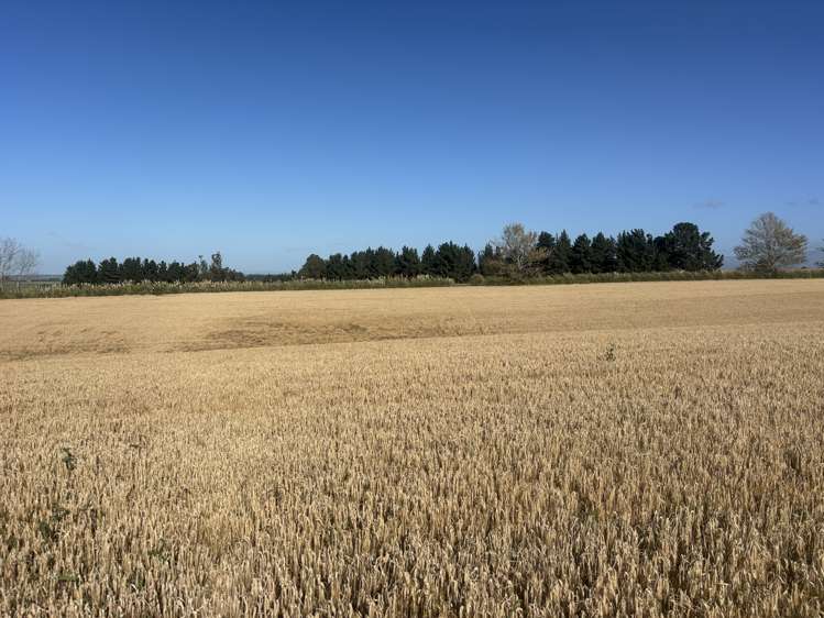 Lot 2 Adair Road Fairview_1