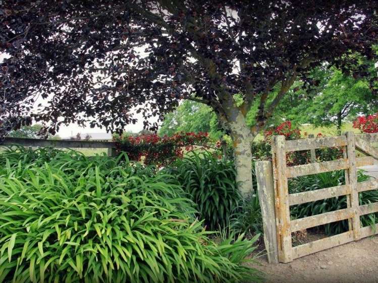 171 Hinakura Road Martinborough_10