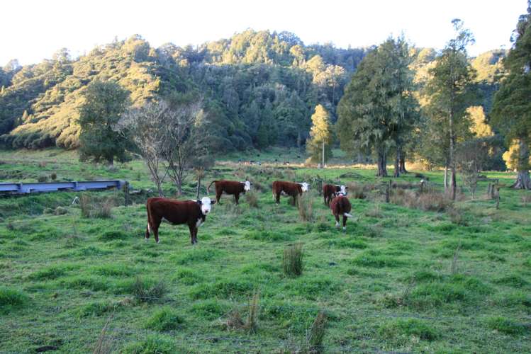 0n Mangaonga Road Ahititi_21