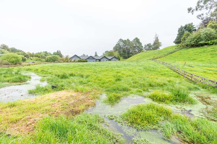 15 Tari Road Pukeatua_10