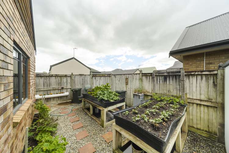 45 Fitchett Street Palmerston North Central_19