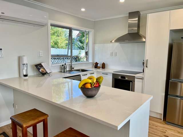 2/2 Olsen Avenue Hillsborough_1