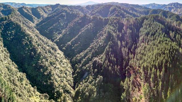322 Creek Road Mangamahu_2