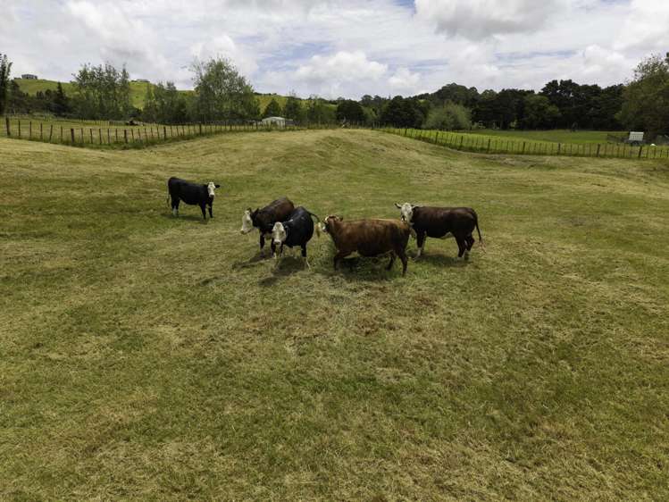 307 Duncan Road Kaingaroa_28