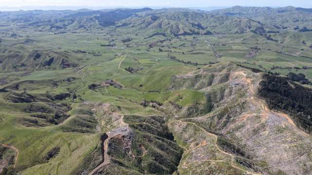 812 Waiterimu Road Te Kauwhata_2