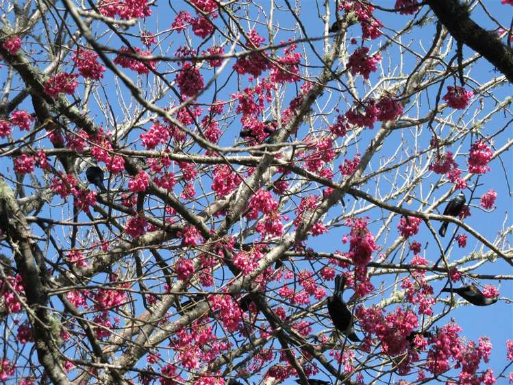 26 Greenhill Road Ngatimoti_47