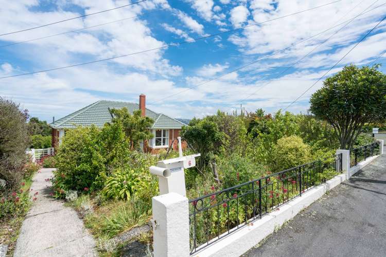 6 Ballantyne Street Waverley_19