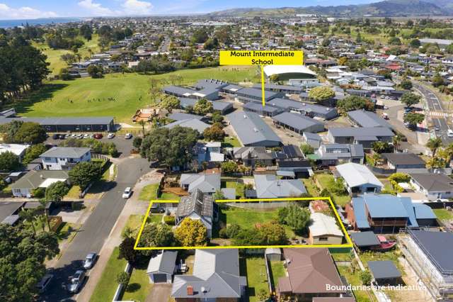 16 Lodge Avenue Mt Maunganui_1