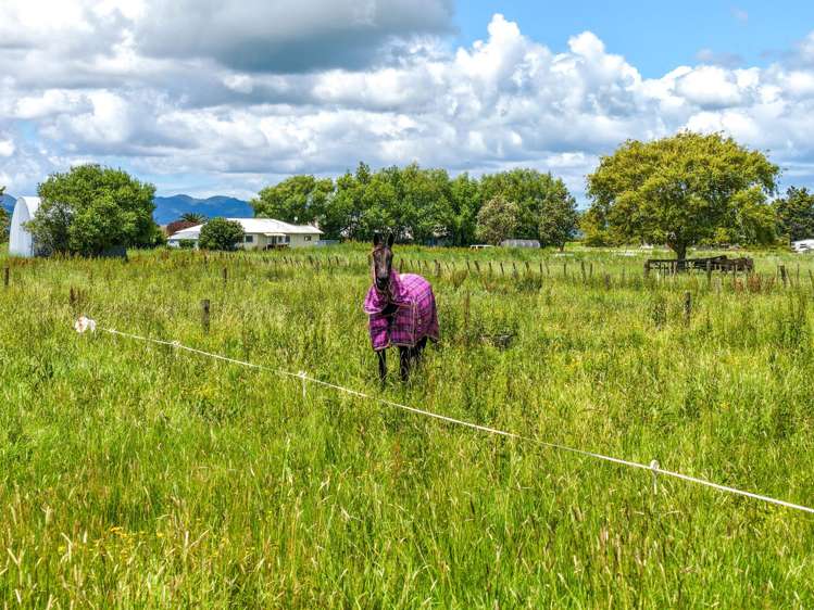 54 Arawa Street Pipiroa_22