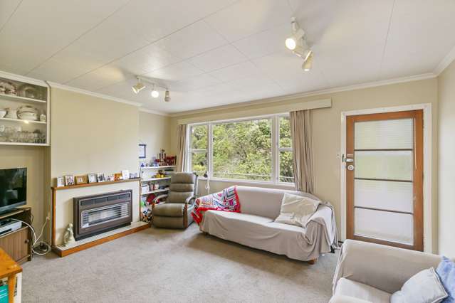 9 Cunliffe Street Johnsonville_2