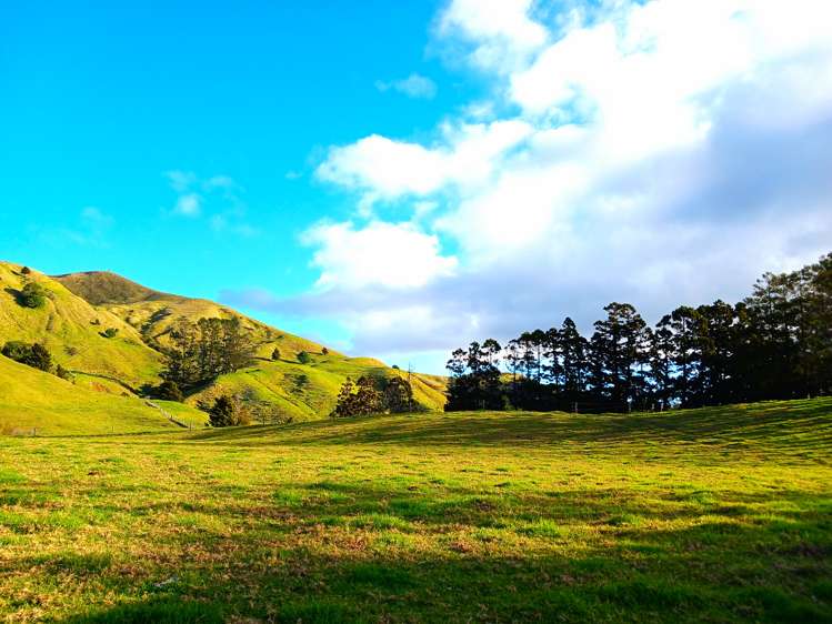 92 Takahue Saddle Road Takahue_7