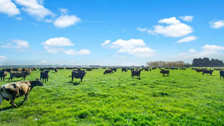 120 Steward Road Richmond_22