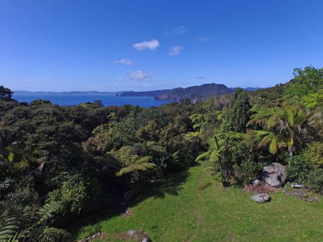 47 Waihirere Drive Tuateawa_4