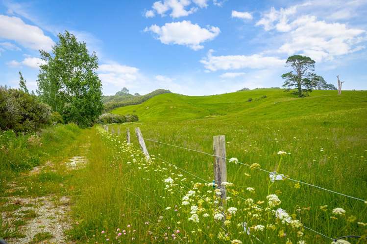 515 Kahikatea Flat Road Waitoki_47