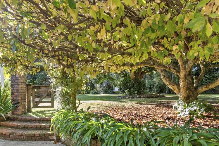 100 Oxford Road Okato_15