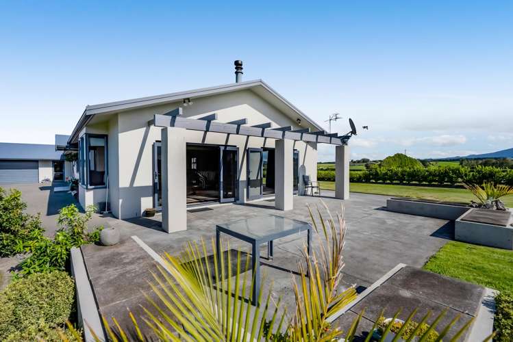 52 Climie Road Stratford_5