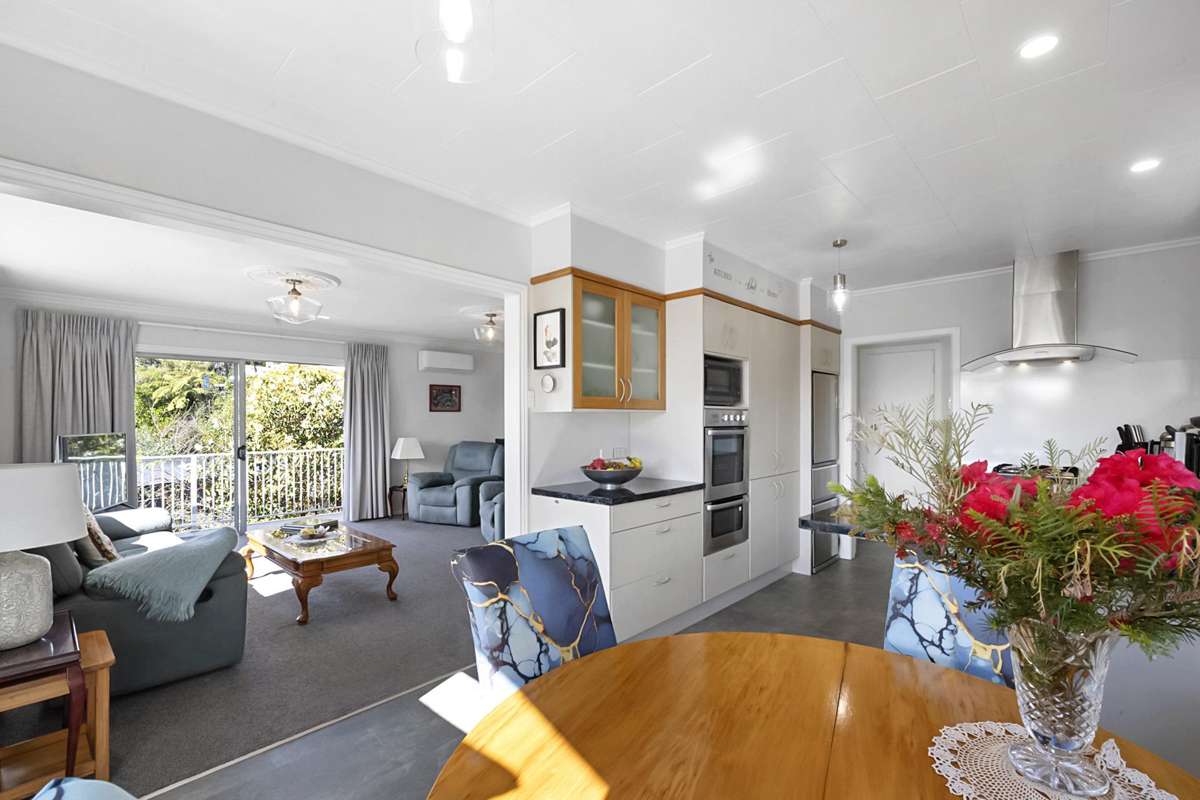 6 Te Mara Place_2