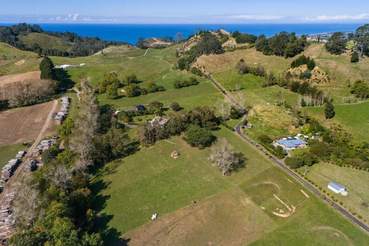 282B Trig Road Waihi_35