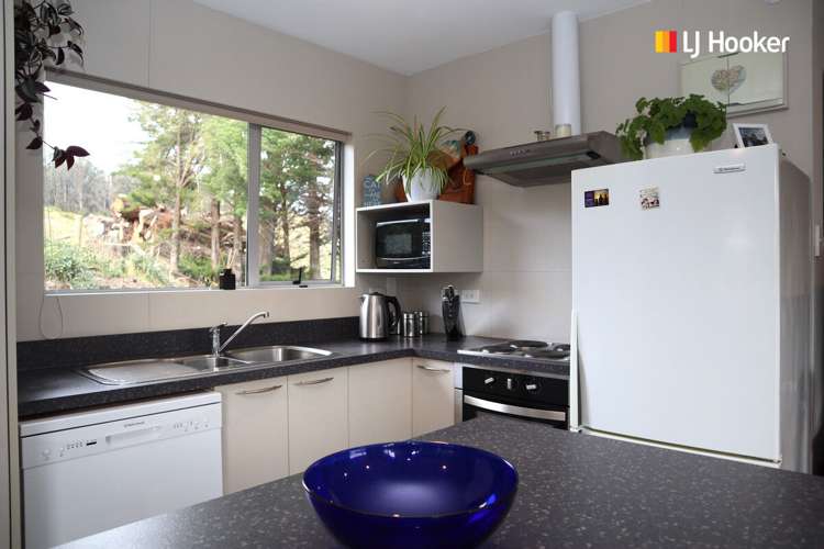 23 Owen Street Green Island_5