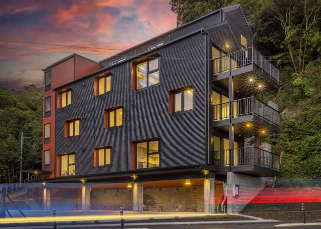 Brand New City End Karori Apartments