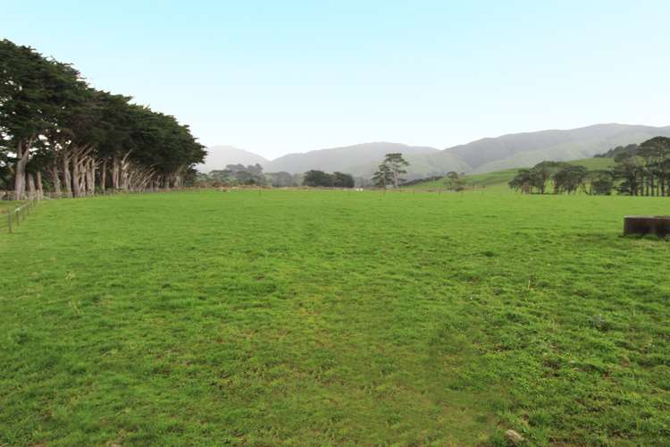 579 Kopikopiko Road Eketahuna_6