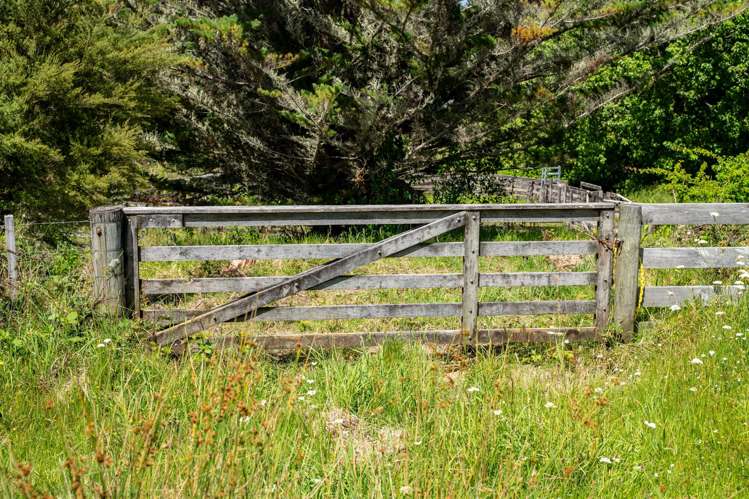 278 Griffin Road Maungaturoto_16