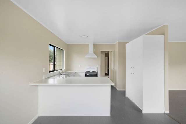 53a Marion Avenue Mount Roskill_2