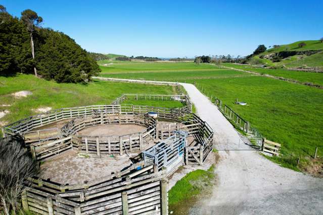 Lot Lot 2/3035 Mititai Road Dargaville_1