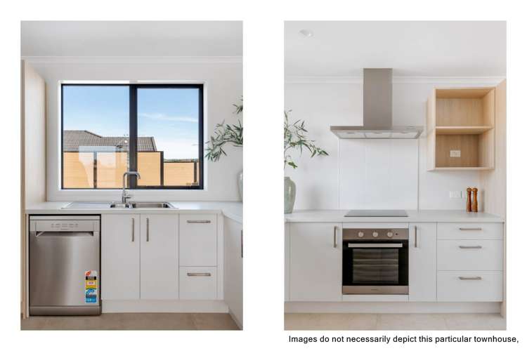 5 Te Ara Tanekaha Omokoroa_4