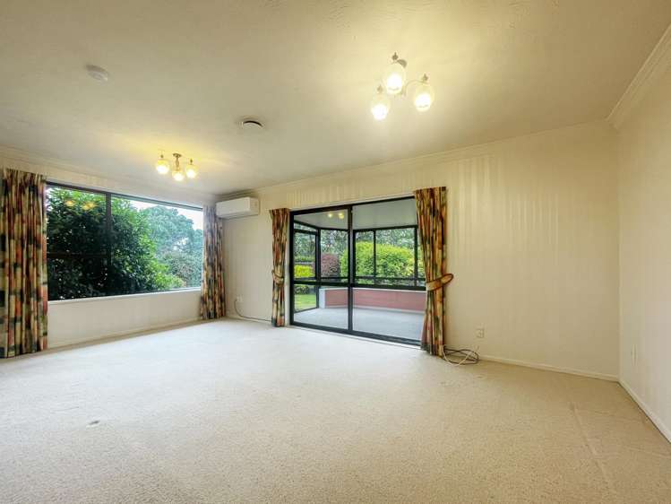 9 Lowry Avenue Redwood_4