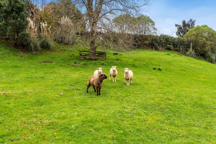 60 Hyland Place Waiuku_24