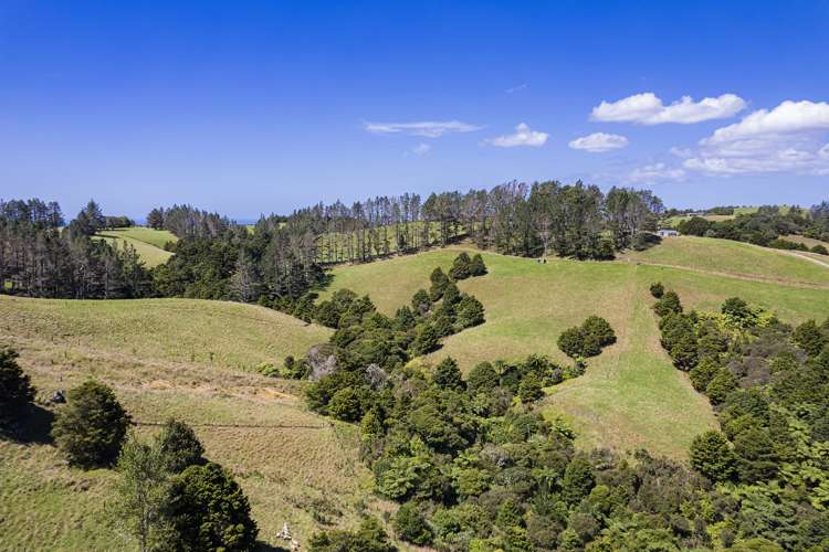 114 Hay Road Hukerenui and Surrounds_29