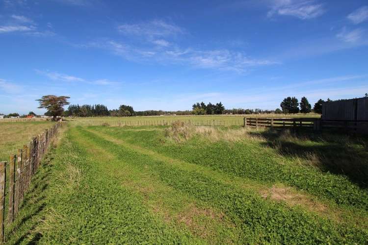 112 Calico Line Marton_74